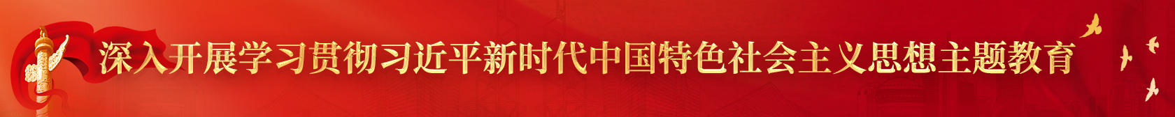 深入開展學(xué)習(xí)貫徹習(xí)近平新時(shí)代中國特色社會主義思想主題教育